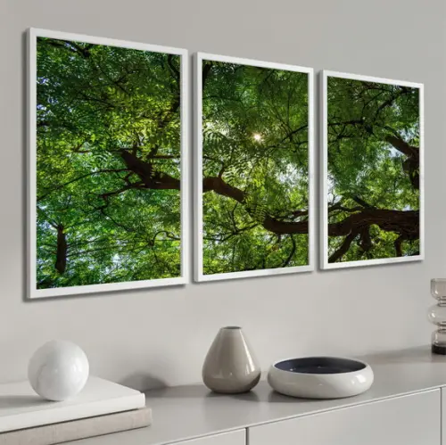 Kit 3 Quadros Decorativos Arvore Verde Floresta Com Moldura