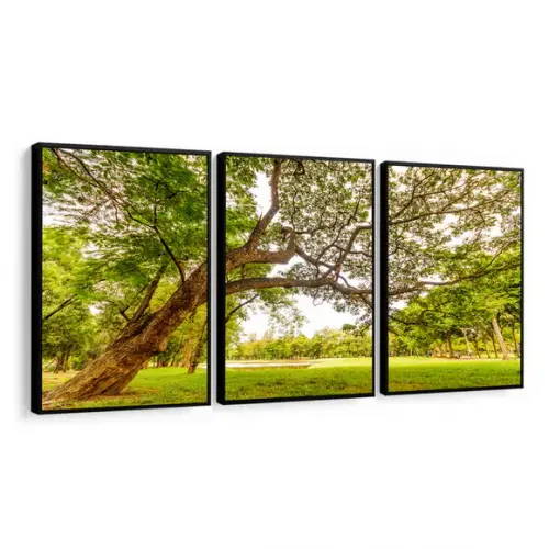 Kit 3 Quadros Decorativos Arvore Verde Floresta Com Moldura