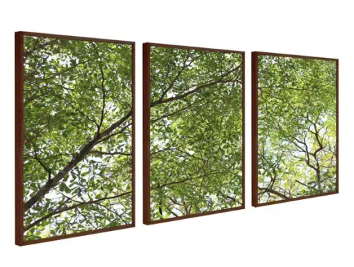 Kit 3 Quadros Decorativos Arvore Verde Folhagem Com Moldura