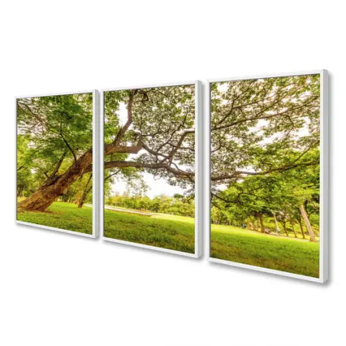 Kit 3 Quadros Decorativos Arvore Verde Paisagem Com Moldura