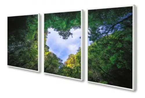 Kit 3 Quadros Decorativos Arvore Verde Paisagem Com Moldura