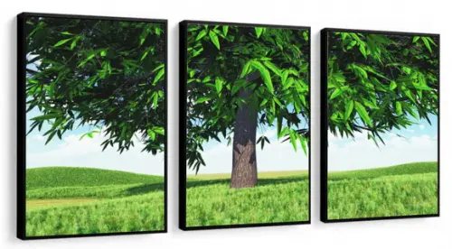 Kit 3 Quadros Decorativos Arvore Verde Paisagem Com Moldura