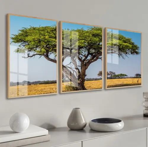 Kit 3 Quadros Decorativos Arvore Verde Paisagem com Vidro