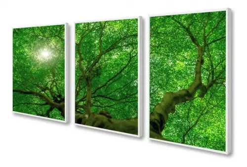 Kit 3 Quadros Decorativos Arvore Verde Paisagem Floresta