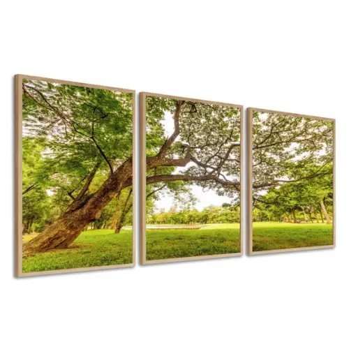 Kit 3 Quadros Decorativos Arvore Verde Para Sala Com Moldura