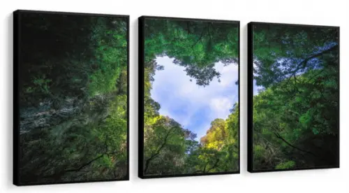 Kit 3 Quadros Decorativos Arvore Verde Para Sala Com Moldura