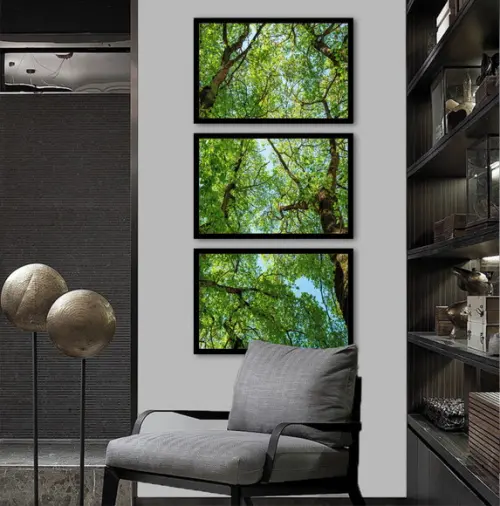 Kit 3 Quadros Decorativos Arvore Verde Vertical com Moldura