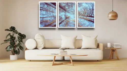 Kit 3 Quadros Decorativos Arvores Florestas Galhos Moldura