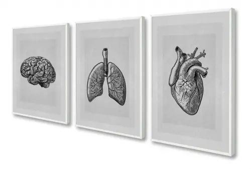 Kit 3 Quadros Decorativos Consultório Medicina Com Moldura