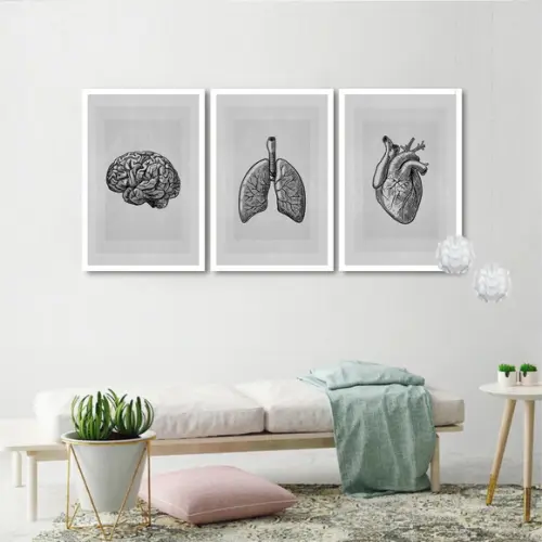 Kit 3 Quadros Decorativos Consultório Medicina Com Moldura