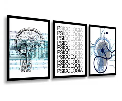 Kit 3 Quadros Decorativos Consultórios Psicólogos Psiquiatra