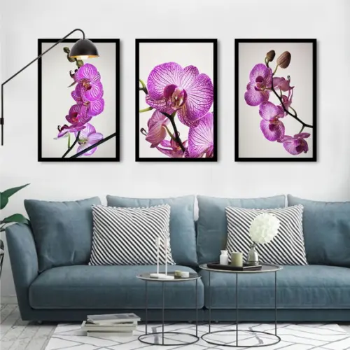 Kit 3 Quadros Decorativos De Flores Orquídea Rosa Molduras