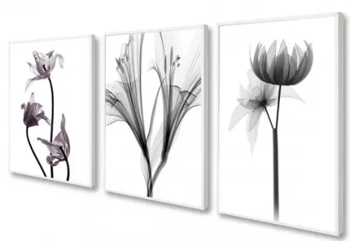 Kit 3 Quadros Decorativos De Flores Para Sala Quarto Moldura