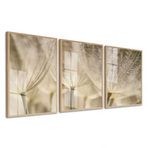 Kit 3 Quadros Decorativos Dente de Leão Bege Moldura e Vidro