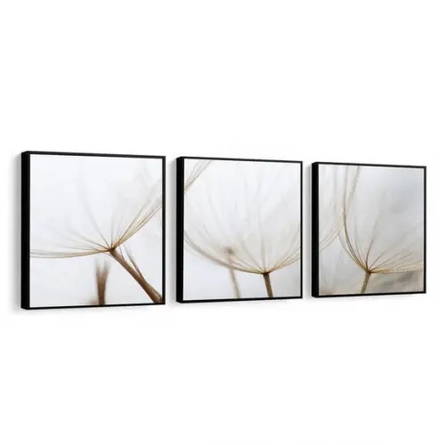 Kit 3 Quadros Decorativos Dente De Leão Conjunto Com Moldura