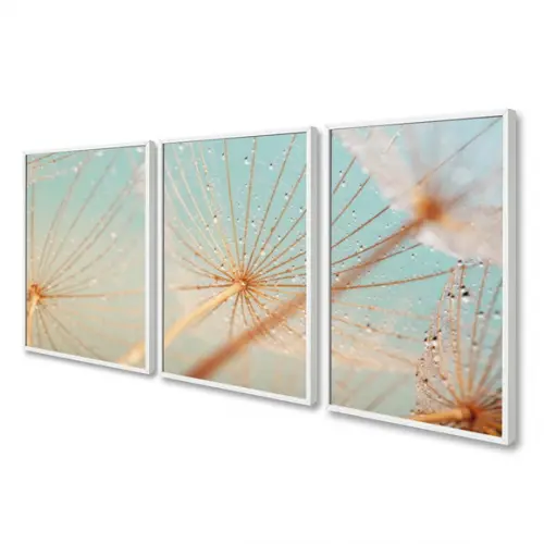 Kit 3 Quadros Decorativos Dente De Leão Flores Com Moldura