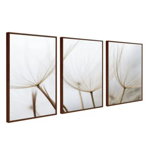 Kit 3 Quadros Decorativos Dente De Leão Flores Com Moldura