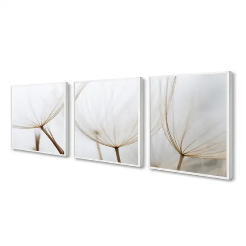 Kit 3 Quadros Decorativos Dente De Leão Para Sala Moldura