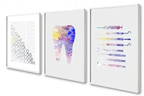 Kit 3 Quadros Decorativos Dentista Consultório Sala Moldura