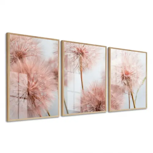 Kit 3 Quadros Decorativos Dente De Leão Rosa Moldura E Vidro