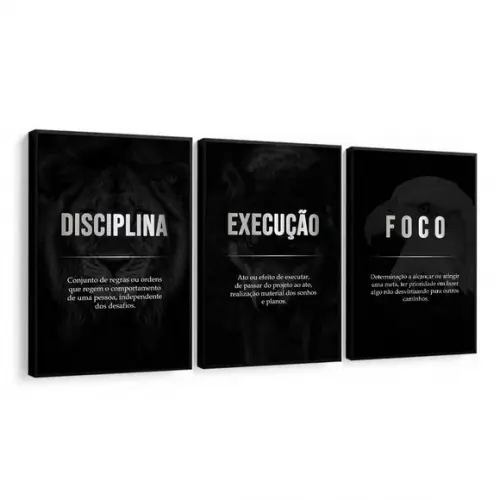 Kit 3 Quadros Decorativos Disciplina Execução Foco Moldura