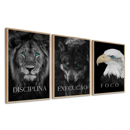 Kit 3 Quadros Decorativos Disciplina Execução Foco Moldura