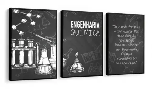 Kit 3 Quadros Decorativos Engenharia Química Escritório Sala