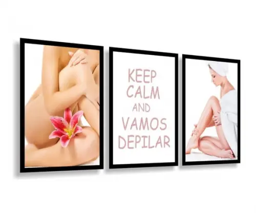 Kit 3 Quadros Decorativos Estética Estúdio Depilação Moldura
