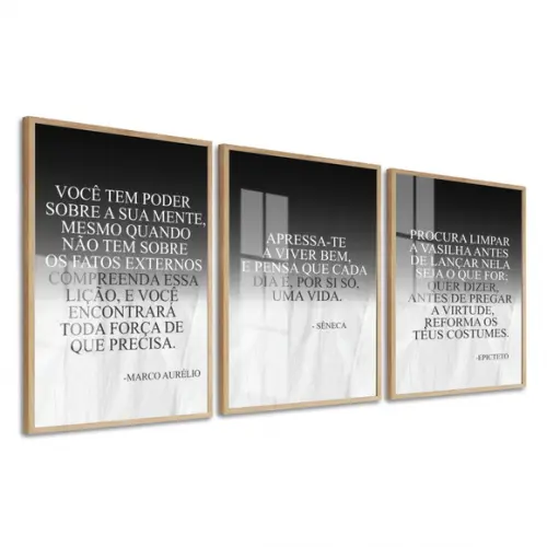 Kit 3 Quadros Decorativos Filosofia Estoicismo Moldura Vidro