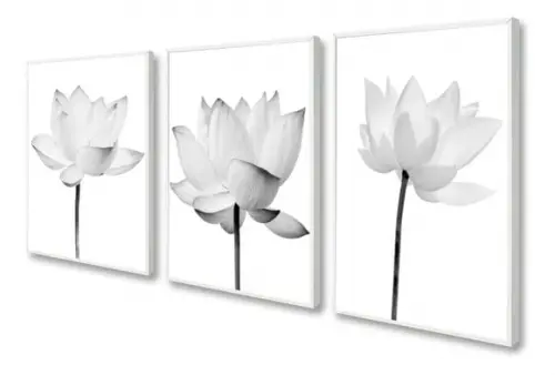 Kit 3 Quadros Decorativos Flor de Lotus para Sala Moldura