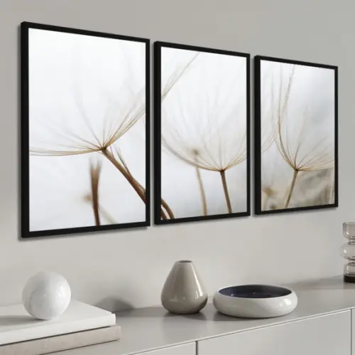 Kit 3 Quadros Decorativos Flor Dente De Leão Branco Moldura