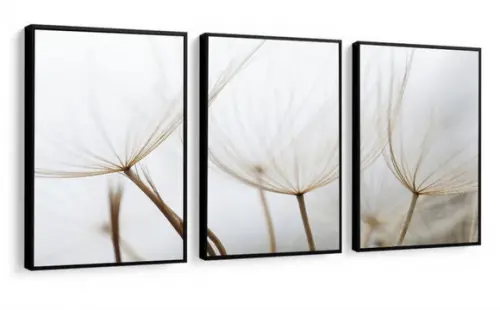 Kit 3 Quadros Decorativos Flor Dente De Leão Branco Moldura