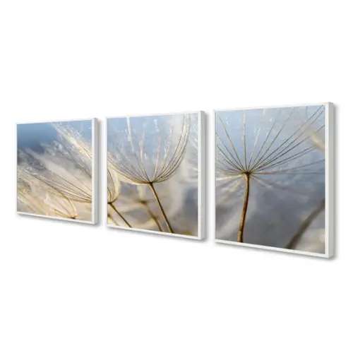 Kit 3 Quadros Decorativos Flor Dente De Leão Moderno Moldura