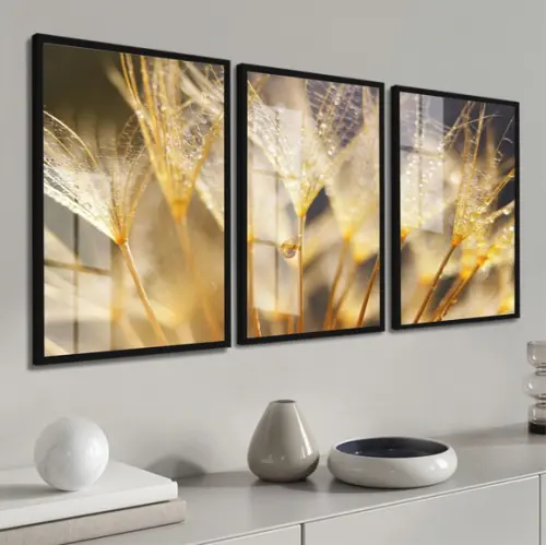 Kit 3 Quadros Decorativos Flor Dente de Leão Moldura e Vidro