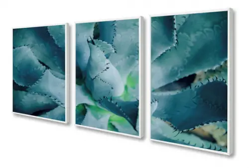 Kit 3 Quadros Decorativos Flor Suculenta Para Sala Moldura