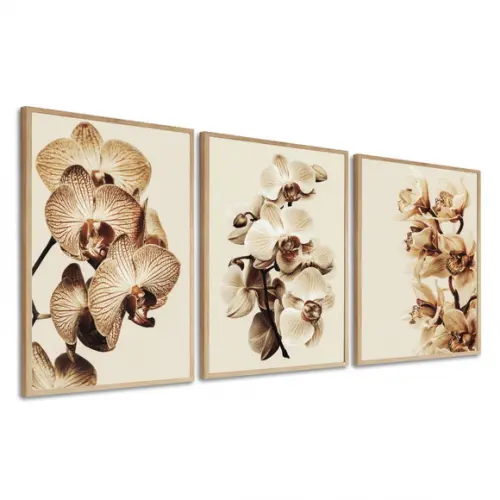 Kit 3 Quadros Decorativos Flores Bege Orquídea Com Moldura