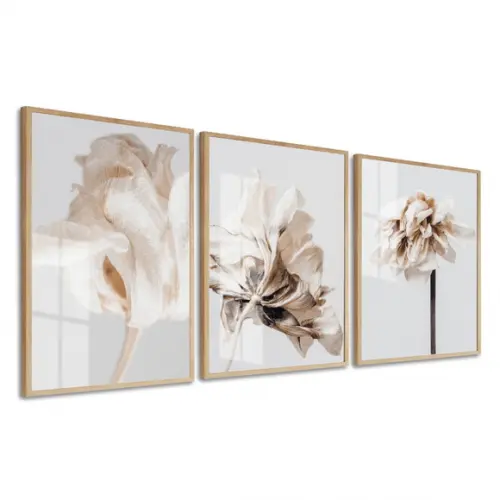 Kit 3 Quadros Decorativos Flores Brancas Com Moldura E Vidro