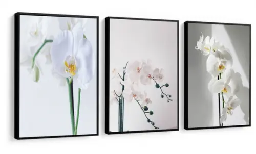 Kit 3 Quadros Decorativos Flores Brancas Para Sala Moldura