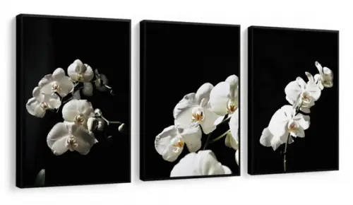 Kit 3 Quadros Decorativos Flores Brancas Para Sala Molduras