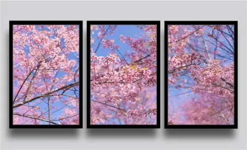 Kit 3 Quadros Decorativos Flores Cerejeira Botânico Molduras