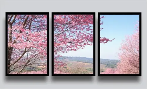 Kit 3 Quadros Decorativos Flores Cerejeira Botânico Molduras