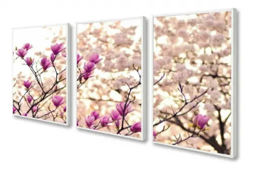 Kit 3 Quadros Decorativos Flores De Cerejeira Para Sala Hall