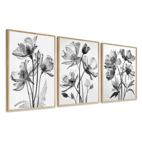 Kit 3 Quadros Decorativos Flores Modernas Moldura e Vidro