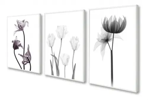 Kit 3 Quadros Decorativos Flores Para Sala De Estar Moldura