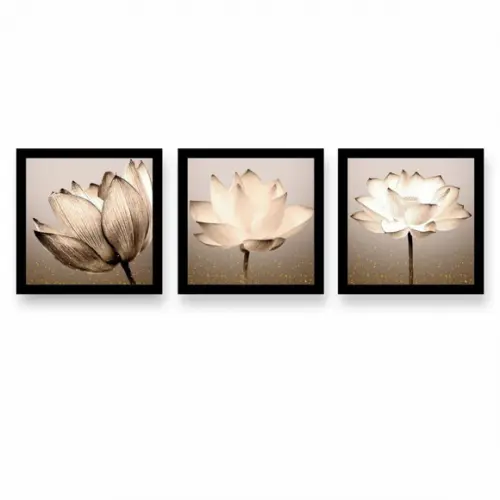 Kit 3 Quadros Decorativos Flores Para Sala Quarto Corredor