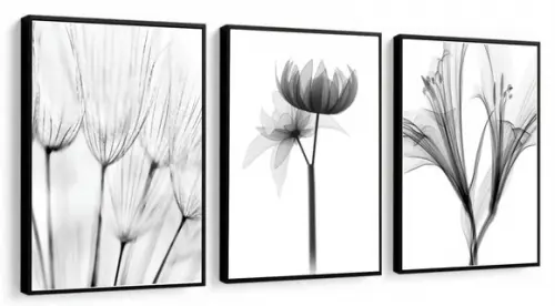 Kit 3 Quadros Decorativos Flores Preto Branco Moldura 23x33