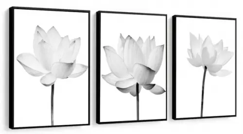 Kit 3 Quadros Decorativos Flores Preto e Branco Com Moldura