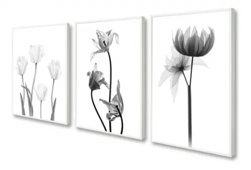 Kit 3 Quadros Decorativos Flores Preto e Branco Com Moldura