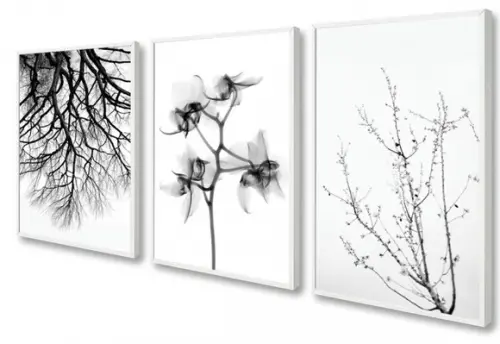 Kit 3 Quadros Decorativos Flores Preto e Branco Sala Moldura