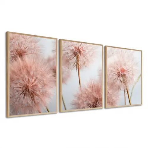 Kit 3 Quadros Decorativos Flores Rosa Dente de Leão Moldura